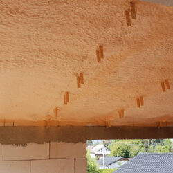 Honter_Boden_Decke_06